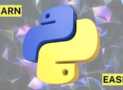 Beginner’s Crash Course in Mastering Python Programming 2024