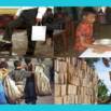Beginner’s insights into Situation of Street Children