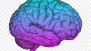 Behavior Health & Symptom Awareness