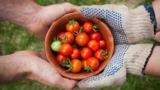 Better giving: Maximize the effectiveness of your donation