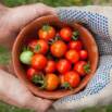 Better giving: Maximize the effectiveness of your donation
