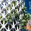BIM- Revit Parametric Design- Pattern-Based Modular Facade