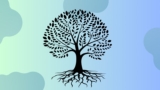 Binary Tree Traversal in C++ | Practice Leetcode Questions