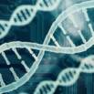 Bioinformatics Tools & Techniques