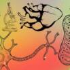 Biology Basics: Understand Life from Cells to Systems