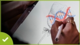 biology diagrams drawing