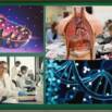 Biology Quiz Level 1