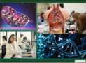 Biology Quiz Level 1