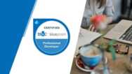 Blue Prism Professional Developer Practice Exams