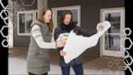 Blueprint for Local Real Estate Developers