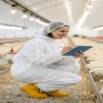 Broiler Farming: Start & Run a Profitable Poultry Business