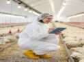 Broiler Farming: Start & Run a Profitable Poultry Business
