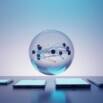 Bubble No-Code Development: Crash Course for Beginners