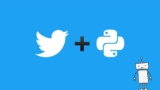 Build A Twitter Bot With Python, Tweepy And The Twitter Api