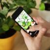 Build AI Plant Classification App in Android (30 Minutes!)