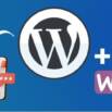 Build Profitable E-Commerce Stores with WordPress & Woostify
