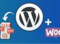 Build Profitable E-Commerce Stores with WordPress & Woostify