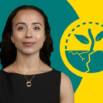 Building and strengthening resilience