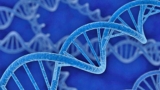 Cancer Genomics | Neural Networks vs k-NN Classifiers