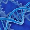 Cancer Genomics | Neural Networks vs k-NN Classifiers