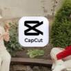 CapCut Masking for Instagram Reels, TikTok & YouTube