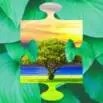 Carbon Neutrality Fundamentals