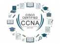 CCNA 200-301 Practice Exams: 4 Full Tests (480 Questions)