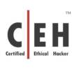 CEH v13 Certified Ethical Hacker Practice Exams (600 Questio