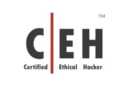 CEH v13 Certified Ethical Hacker Practice Exams (600 Questio