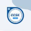 Certified Cloud Security Knowledge (CCSK) Practice tests