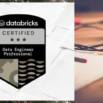 Certified Data Engineer Professional Practice Exams