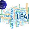 Certified Lean Process Excellence Expert