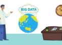 Certified Professional Data Science through Practice Test