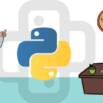 Certified Professional in Python Programming: Practice Test