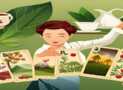 Certified Tea Leaf Fortune Cards Reader Course