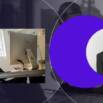 ChatGPT Mastery for Entrepreneurs & Business Owners