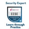 Check Point Security Expert Practice Exams – Learn Concepts