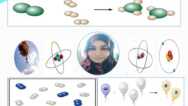 Chemical Calculations in Chemistry.