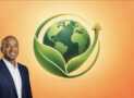 Chief Sustainability Officer Mastery: 52 Weeks