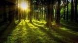 Christian Mystic Morning Balancing Exercise