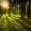 Christian Mystic Morning Balancing Exercise