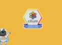 Cilium Certified Associate (CCA) Practice Exams