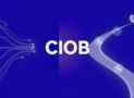 CIOB Journey: Step-by-Step Guide to Chartered Member (MCIOB)