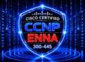 CISCO CCNP ENNA 300-445 — 1500 Certified Exam Questions
