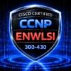 CISCO CCNP ENWLSI 300-430 – 1500 Certified Exam Questions