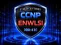 CISCO CCNP ENWLSI 300-430 – 1500 Certified Exam Questions