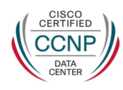 Cisco Data Center AI Infrastructure Certification Practice T