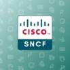 Cisco SNCF 300-710 Securing Networks Practice Exams 2025