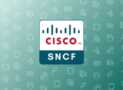 Cisco SNCF 300-710 Securing Networks Practice Exams 2025