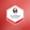 CJE: Certified Jenkins Engineer Practice Exams